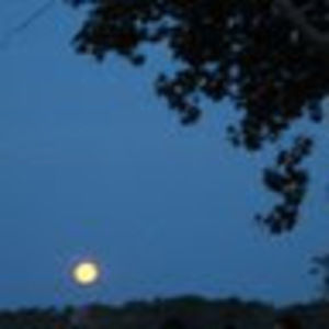 Meet your Posher, Allissound